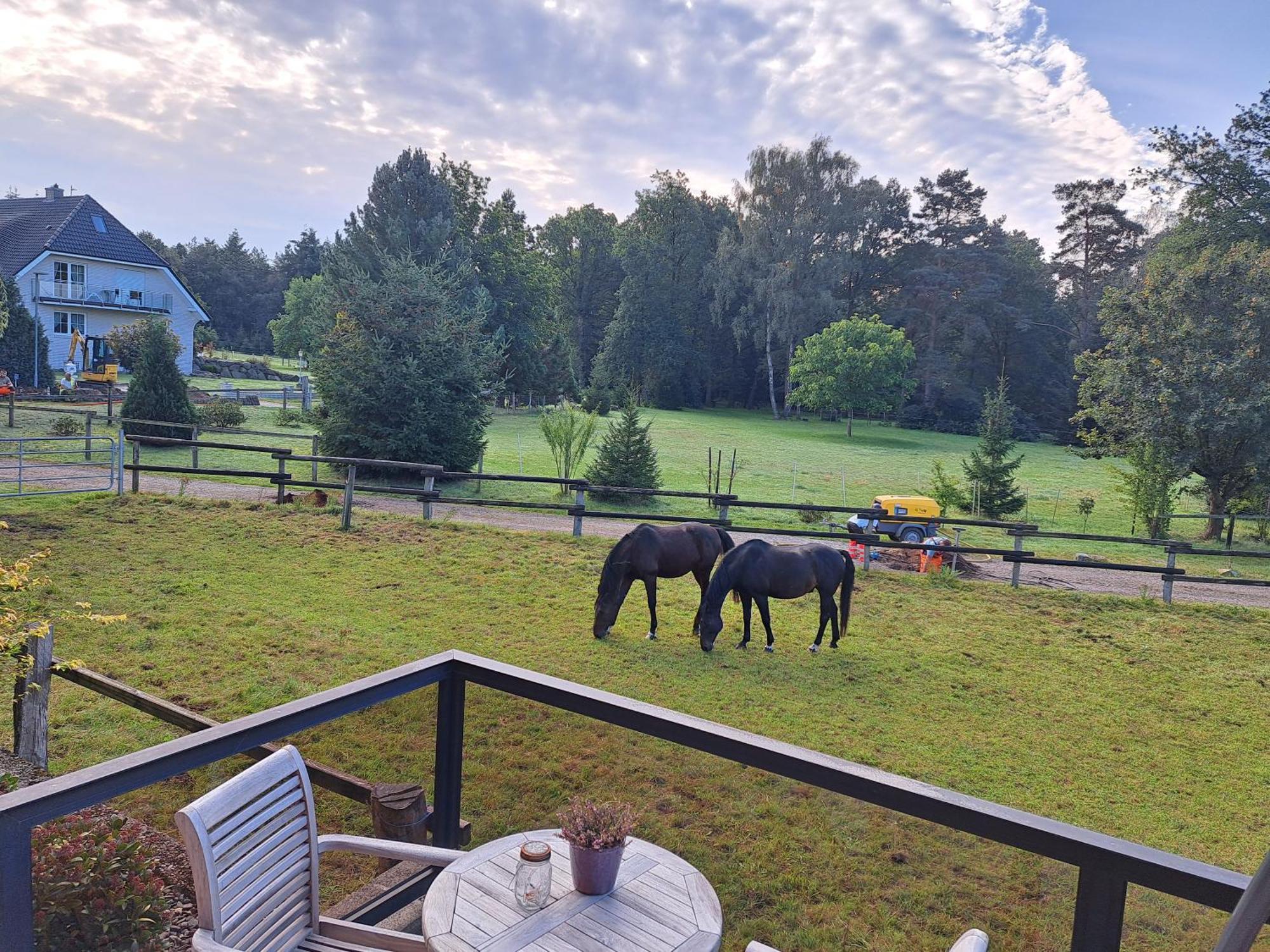 Dat Luette Heidehotel Funk - Garni Bispingen Bagian luar foto